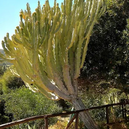 Bithia Bed & Breakfast Chia