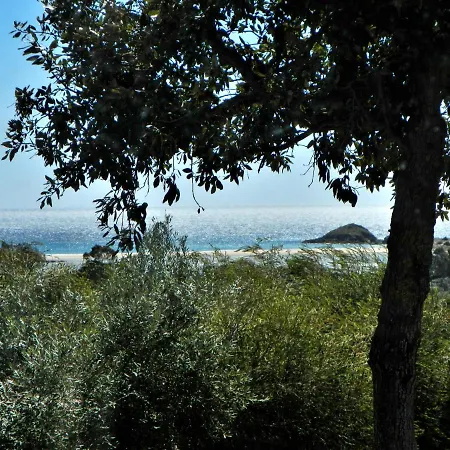 Bithia