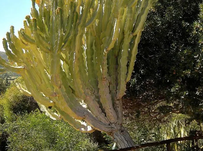 Bithia Bed & Breakfast Chia